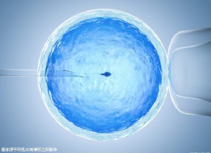 关于试管借卵代怀机构